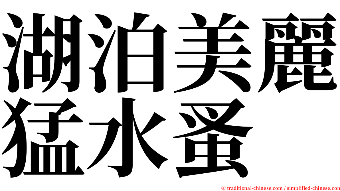 湖泊美麗猛水蚤 serif font
