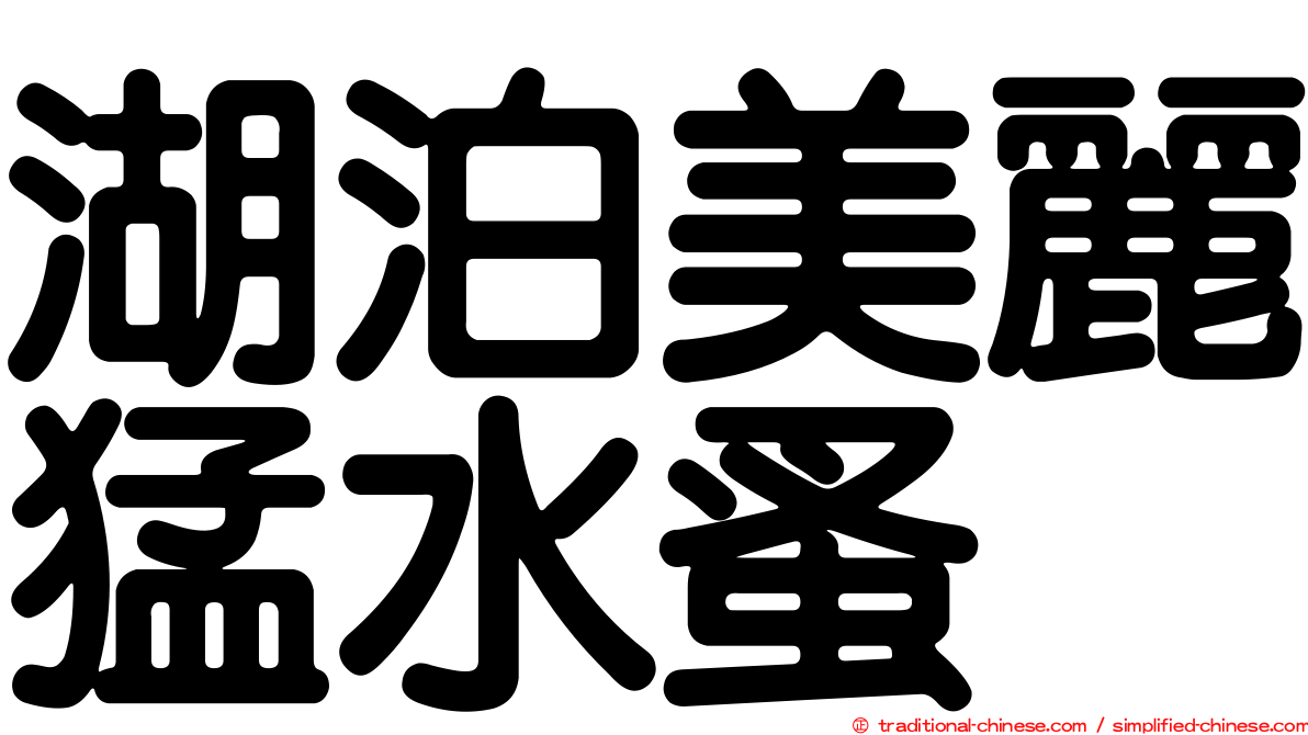 湖泊美麗猛水蚤