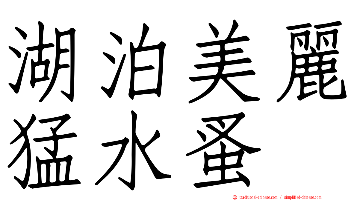 湖泊美麗猛水蚤