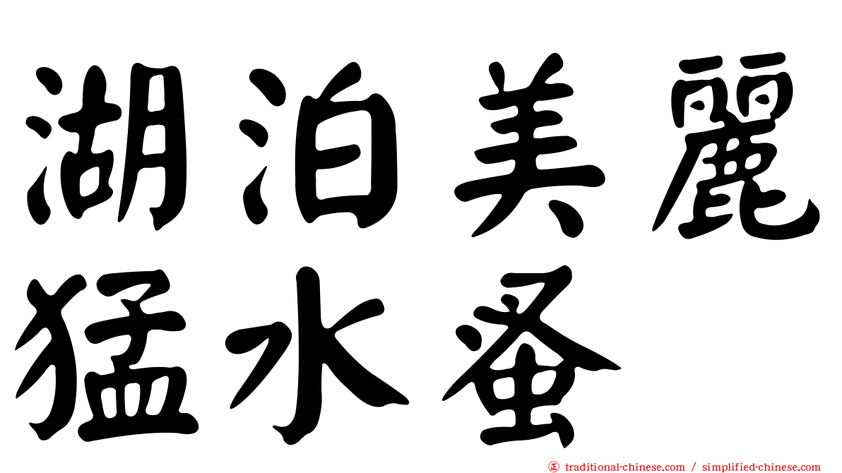 湖泊美麗猛水蚤