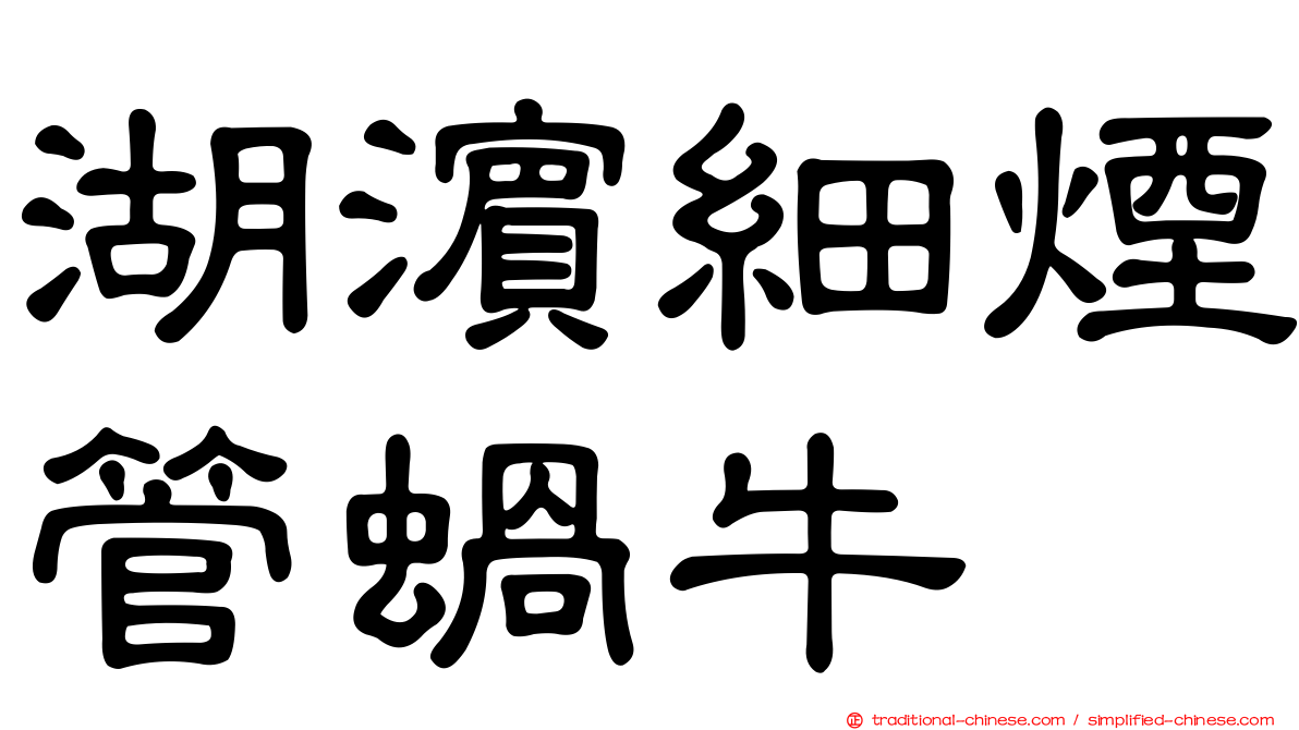 湖濱細煙管蝸牛