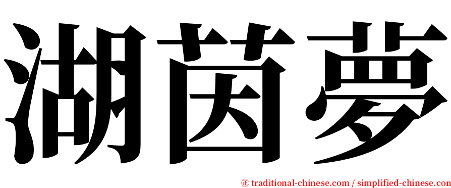 湖茵夢 serif font