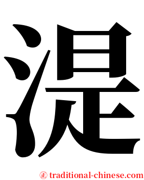 湜 serif font