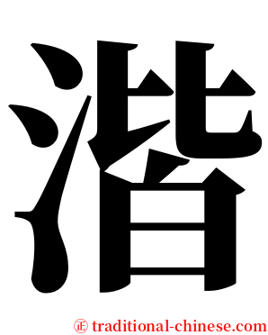 湝 serif font
