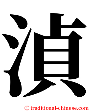湞 serif font