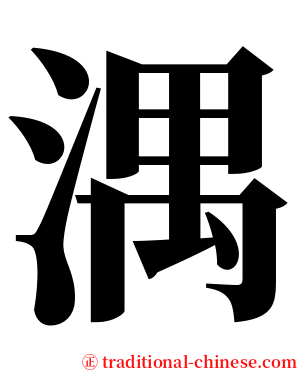湡 serif font