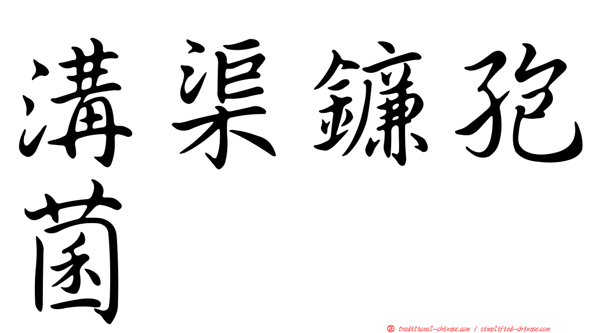 溝渠鐮孢菌