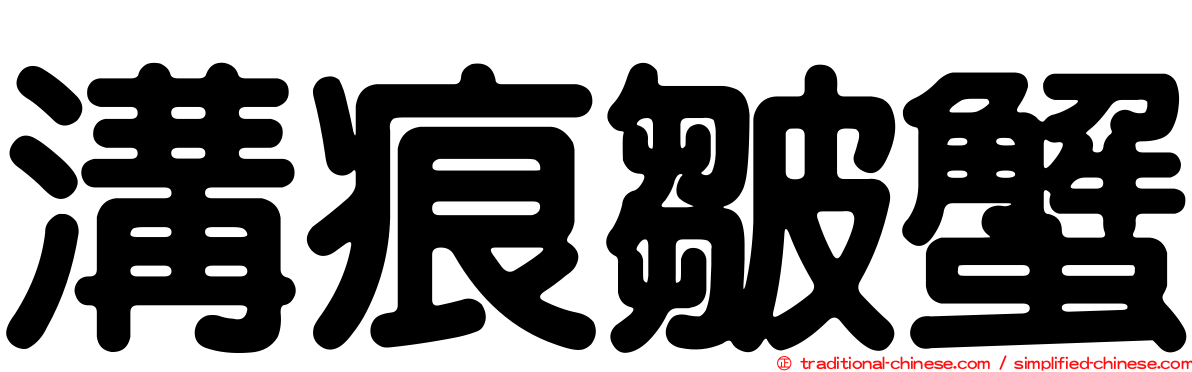 溝痕皺蟹