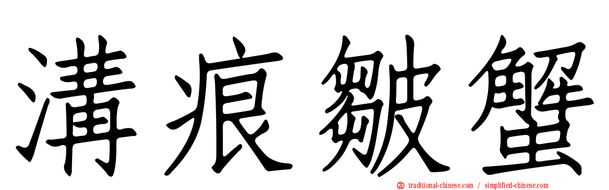 溝痕皺蟹