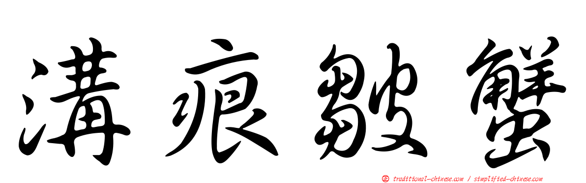 溝痕皺蟹