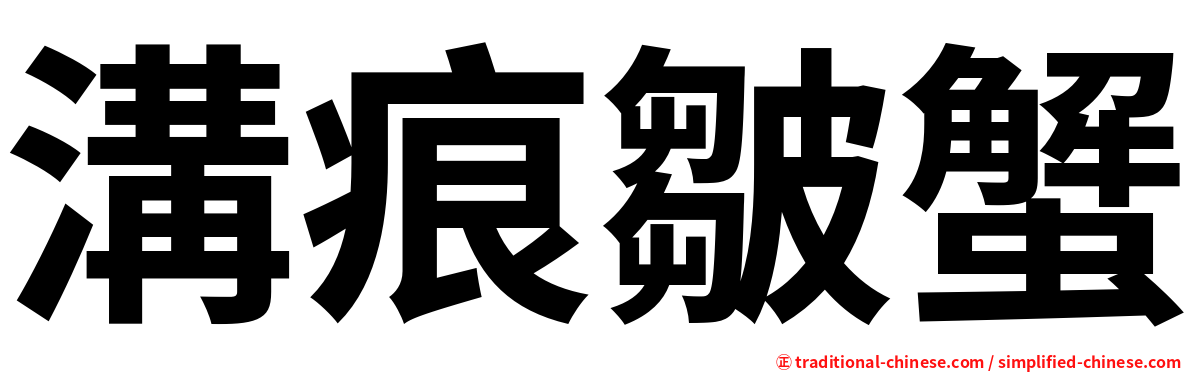 溝痕皺蟹