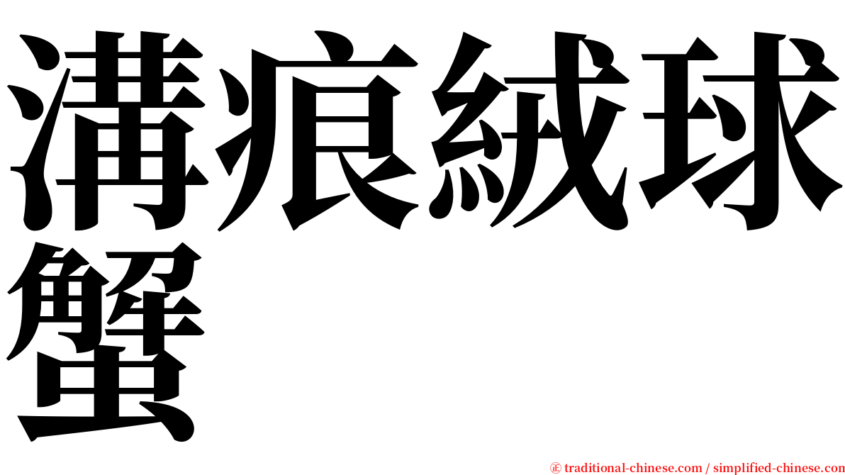 溝痕絨球蟹 serif font