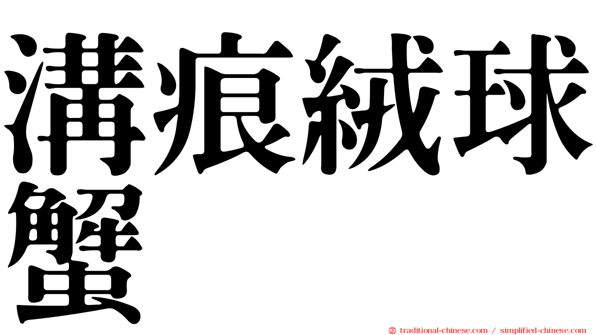 溝痕絨球蟹