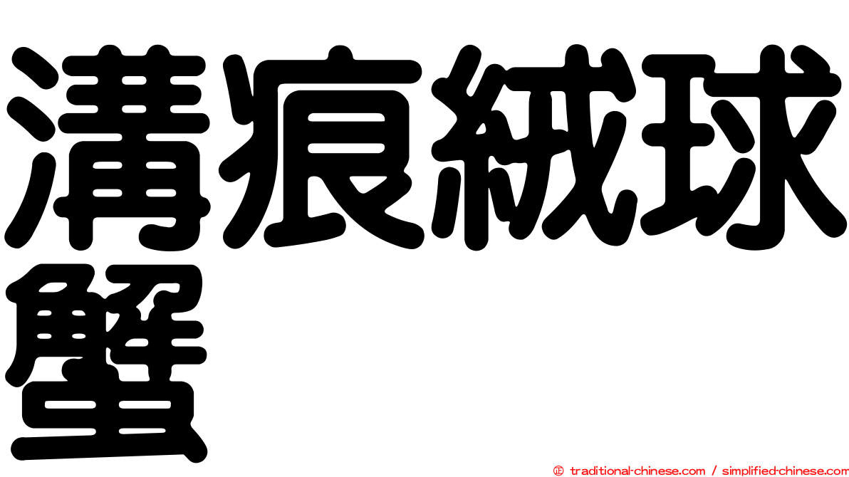 溝痕絨球蟹