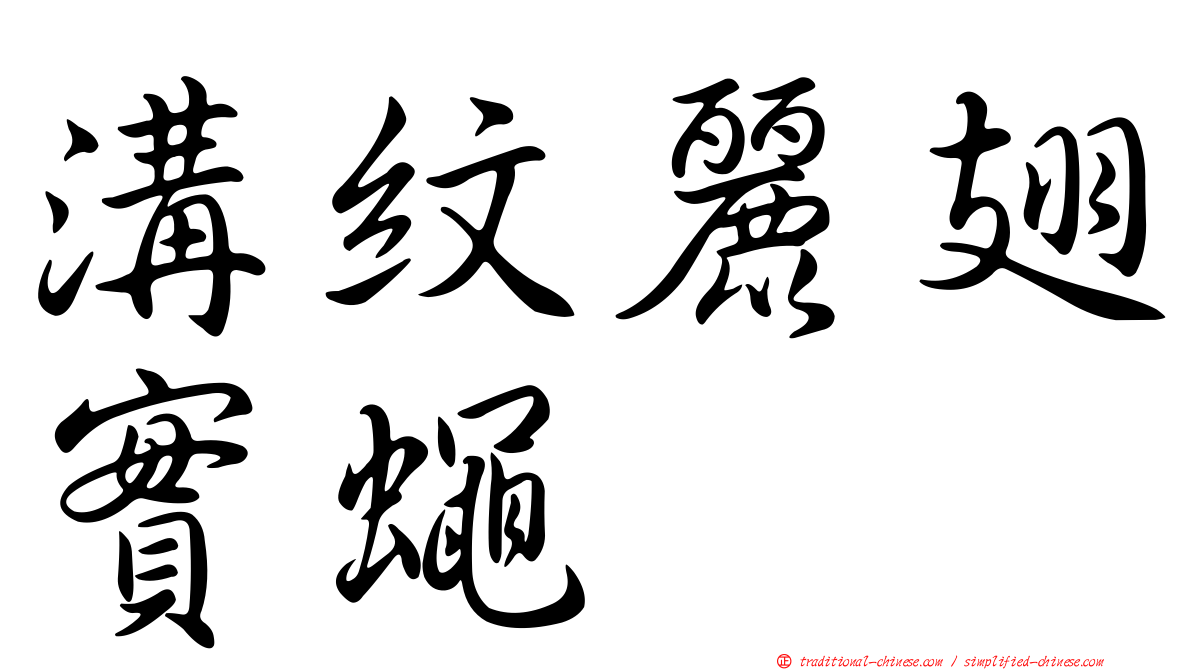 溝紋麗翅實蠅