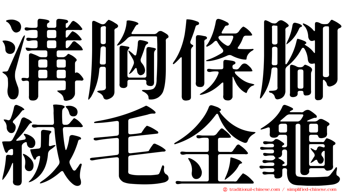溝胸條腳絨毛金龜