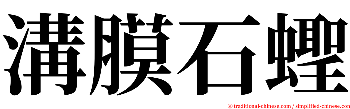 溝膜石蟶 serif font