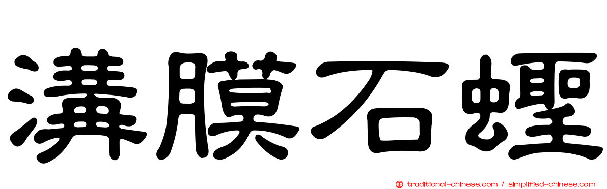 溝膜石蟶