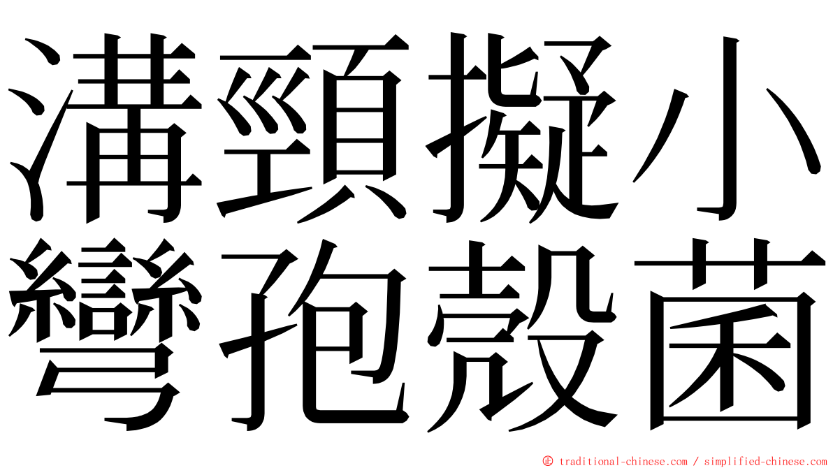 溝頸擬小彎孢殼菌 ming font