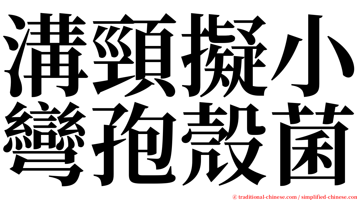 溝頸擬小彎孢殼菌 serif font