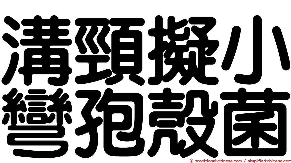 溝頸擬小彎孢殼菌