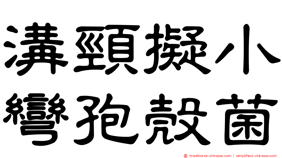 溝頸擬小彎孢殼菌