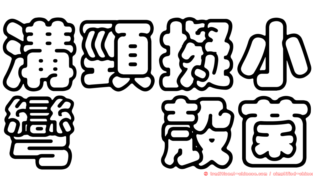 溝頸擬小彎孢殼菌