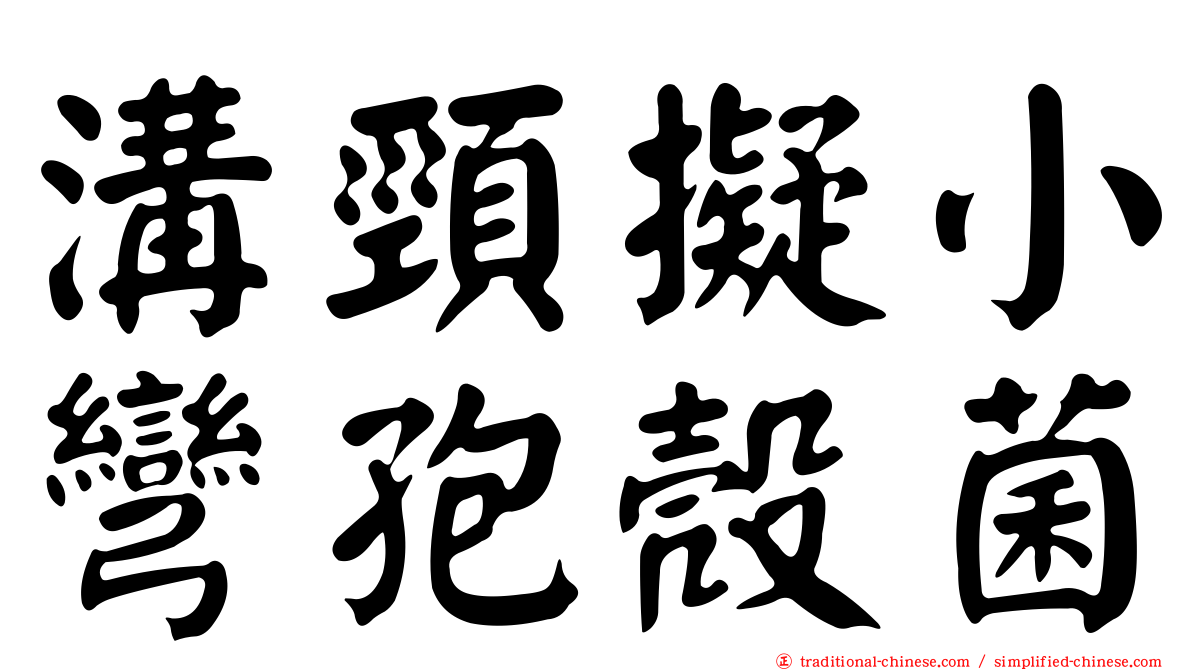溝頸擬小彎孢殼菌