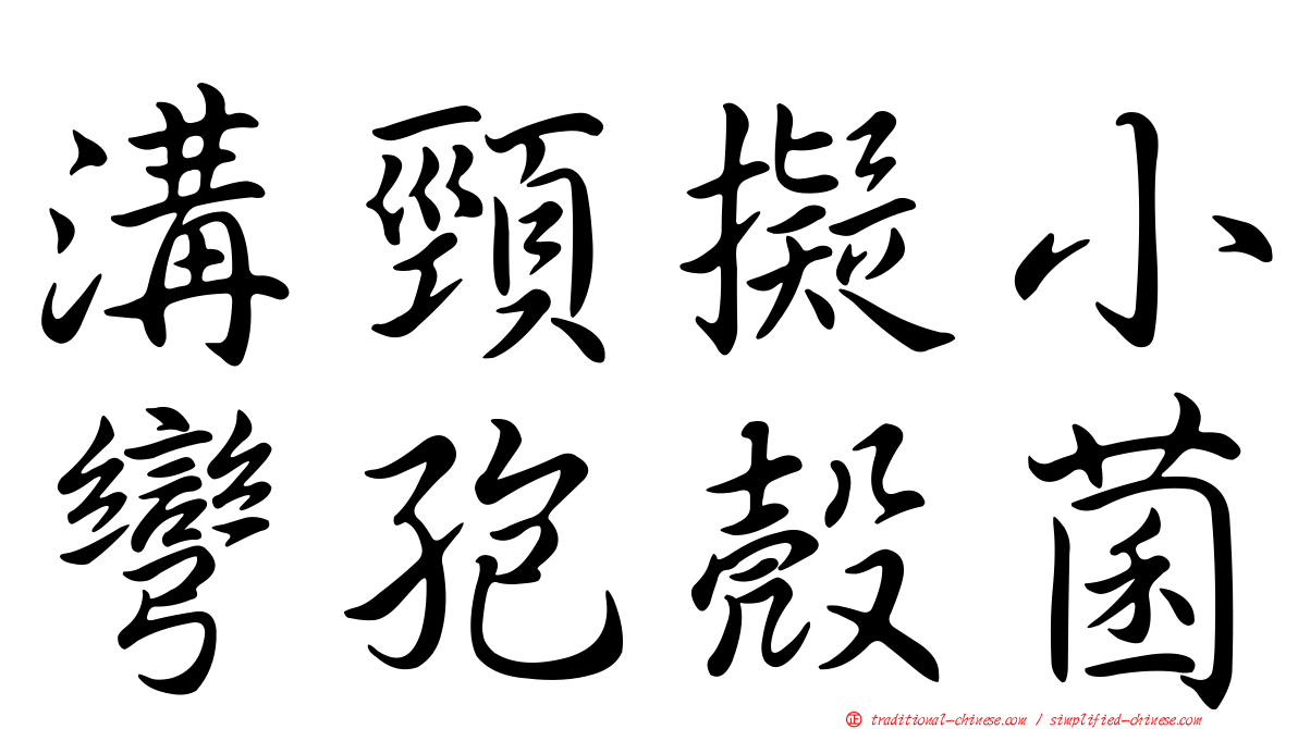 溝頸擬小彎孢殼菌