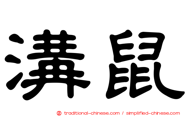 溝鼠