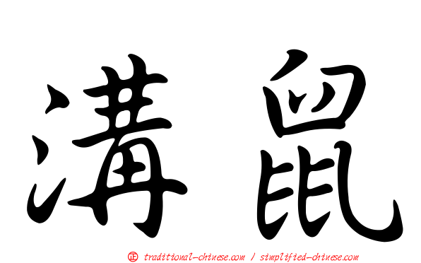 溝鼠