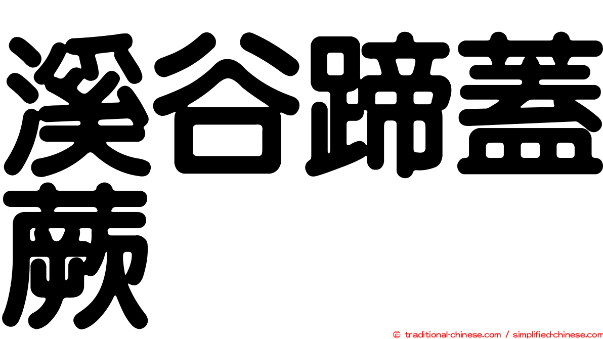 溪谷蹄蓋蕨