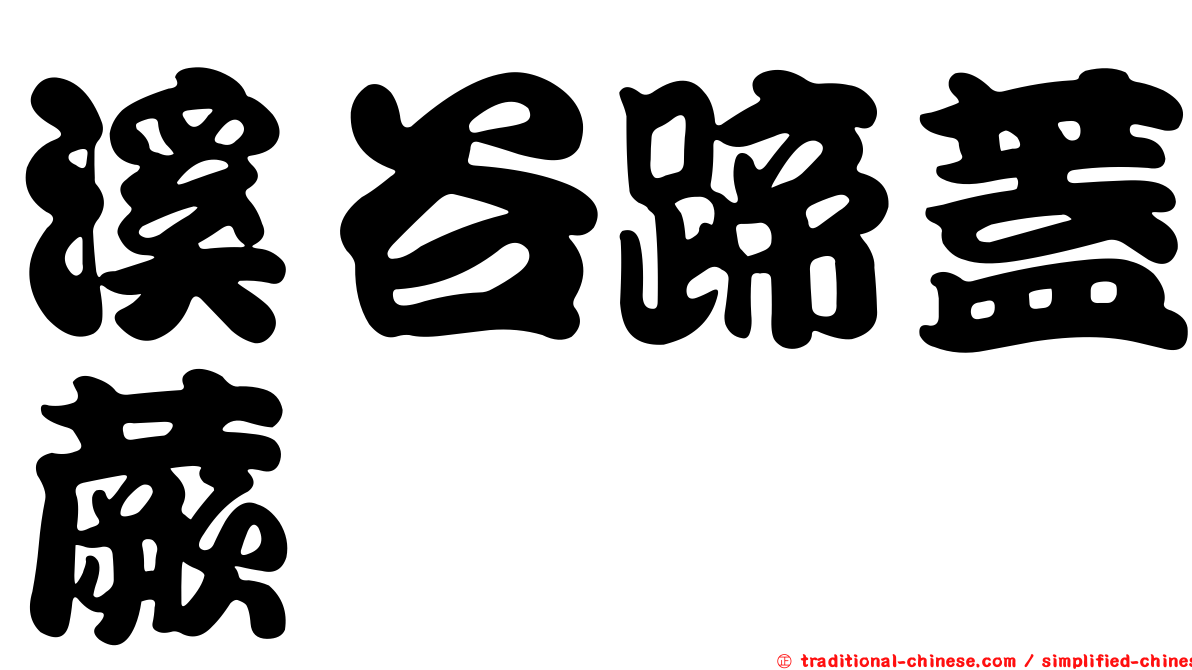 溪谷蹄蓋蕨