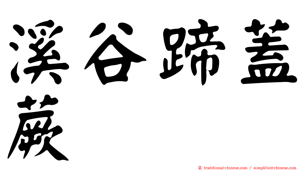 溪谷蹄蓋蕨