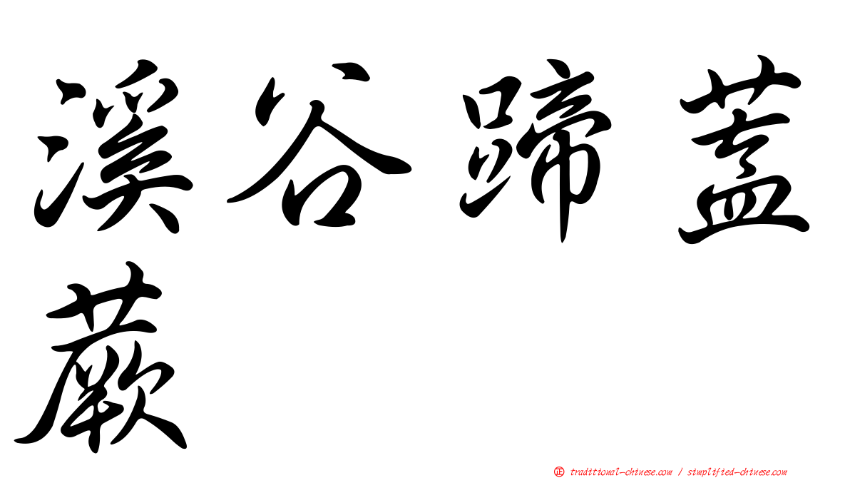 溪谷蹄蓋蕨