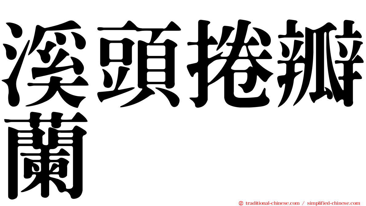 溪頭捲瓣蘭
