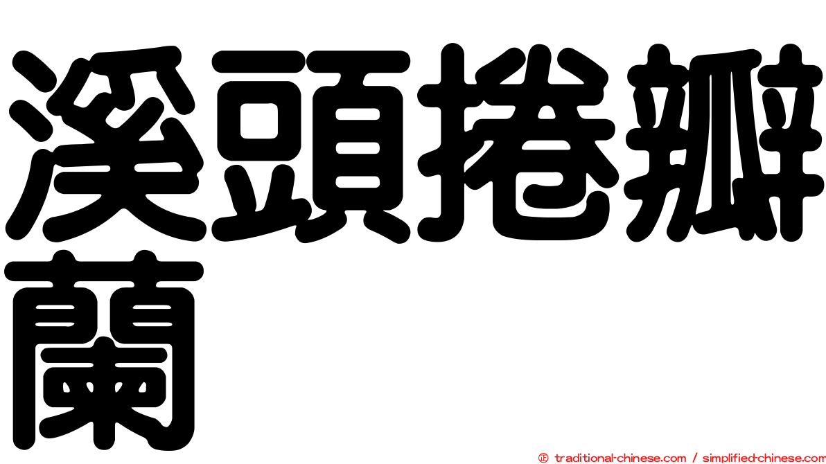 溪頭捲瓣蘭