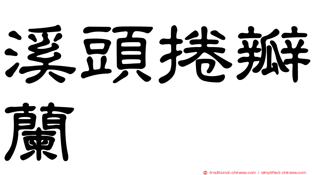 溪頭捲瓣蘭