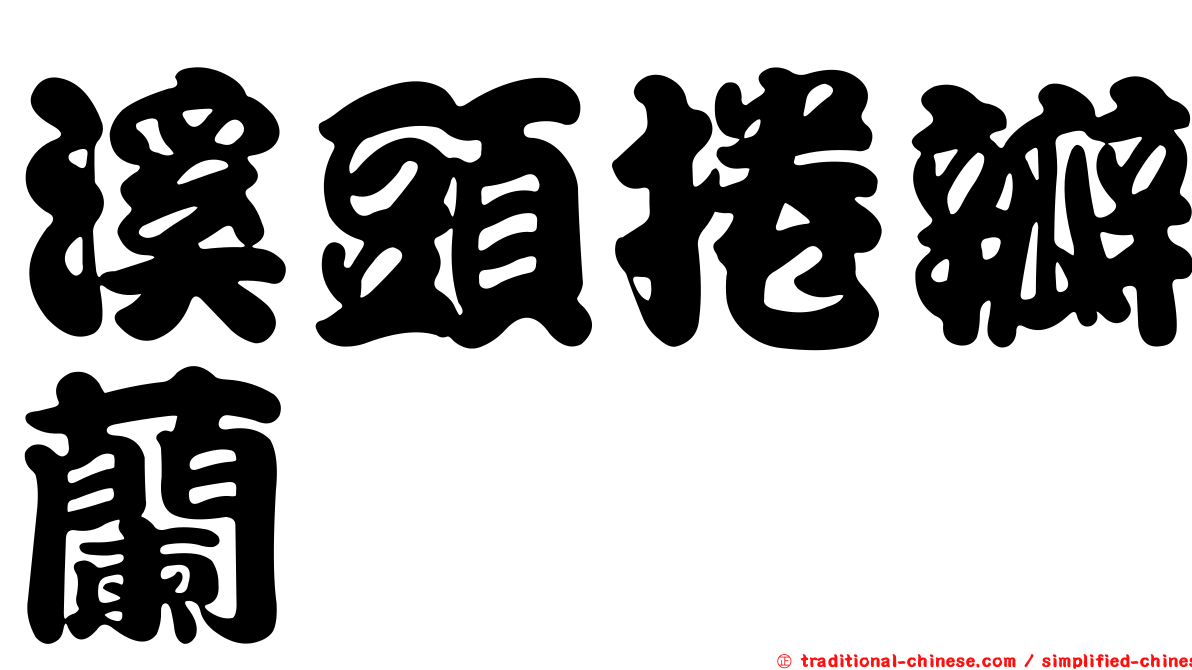 溪頭捲瓣蘭