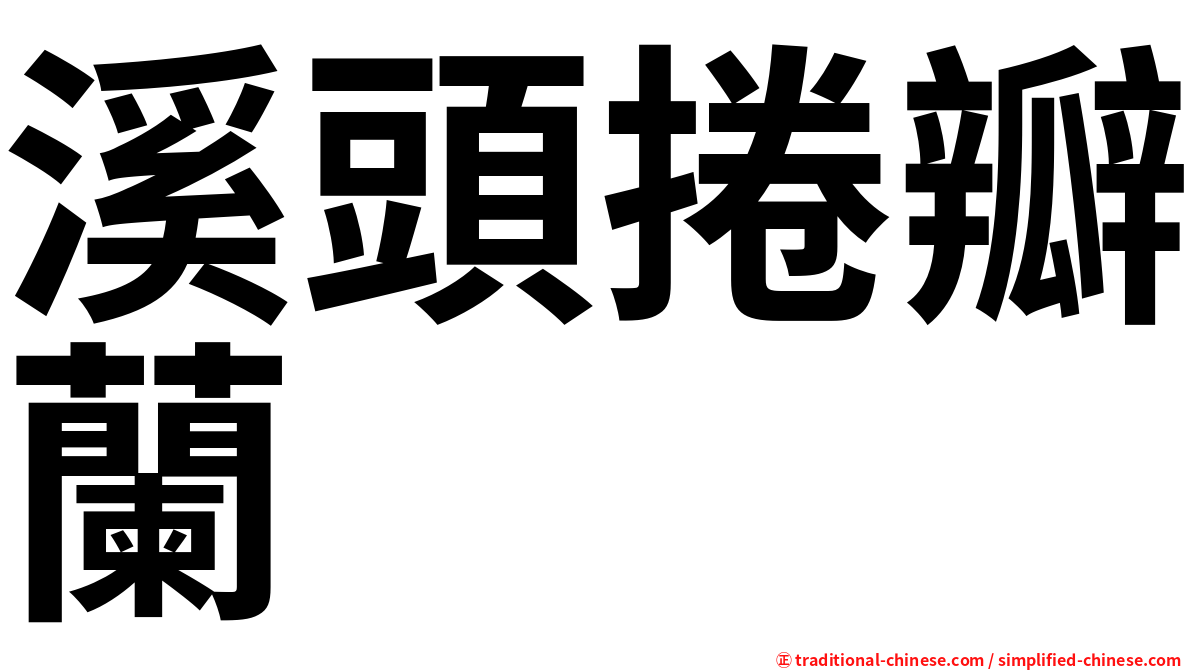 溪頭捲瓣蘭
