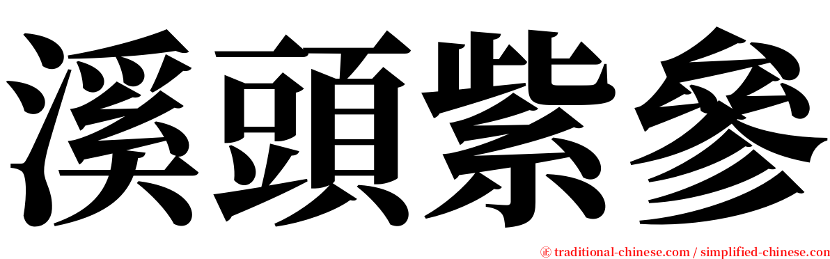 溪頭紫參 serif font