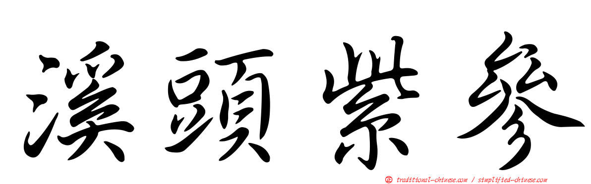 溪頭紫參