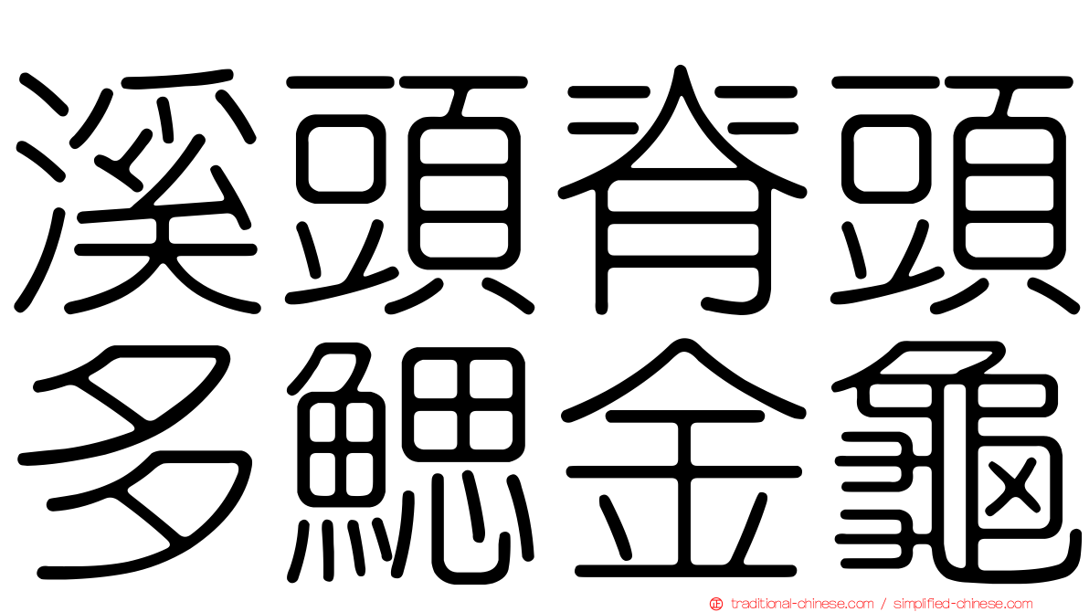 溪頭脊頭多鰓金龜