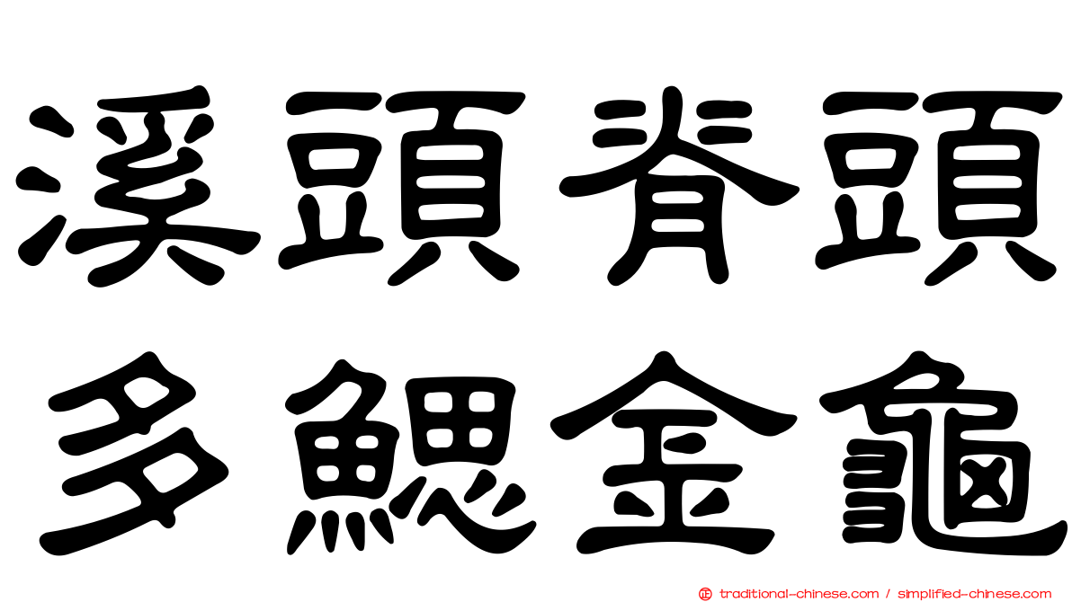 溪頭脊頭多鰓金龜