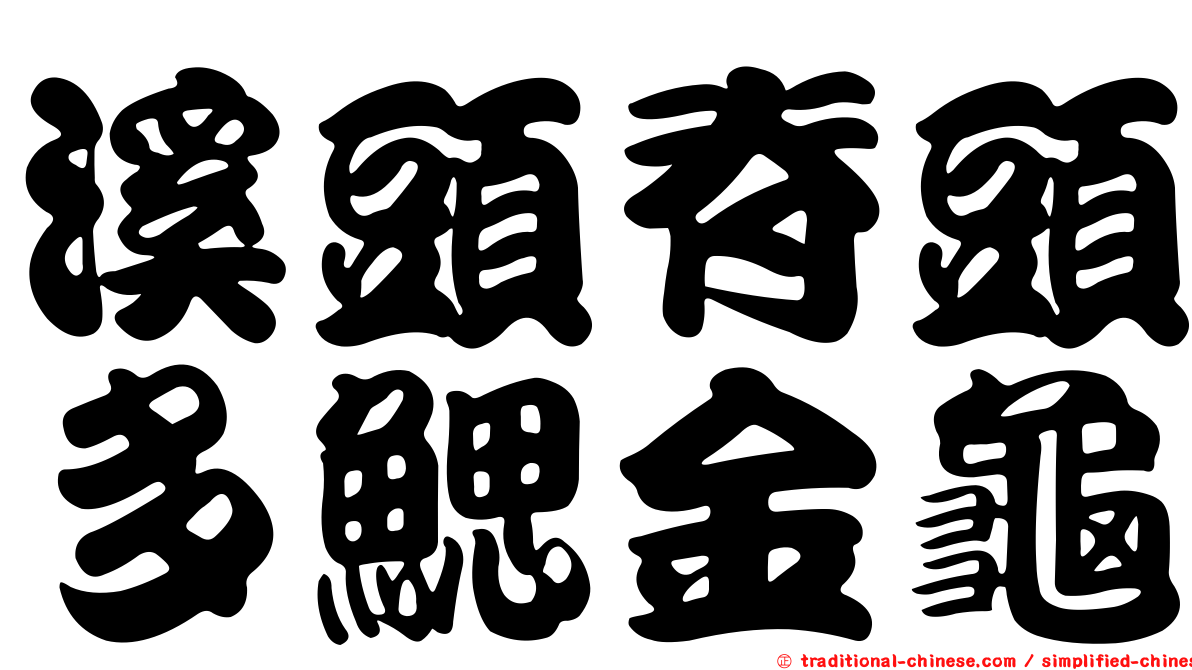 溪頭脊頭多鰓金龜