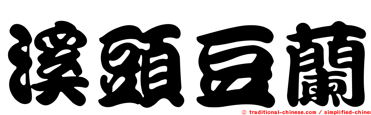 溪頭豆蘭