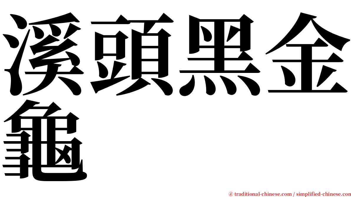 溪頭黑金龜 serif font