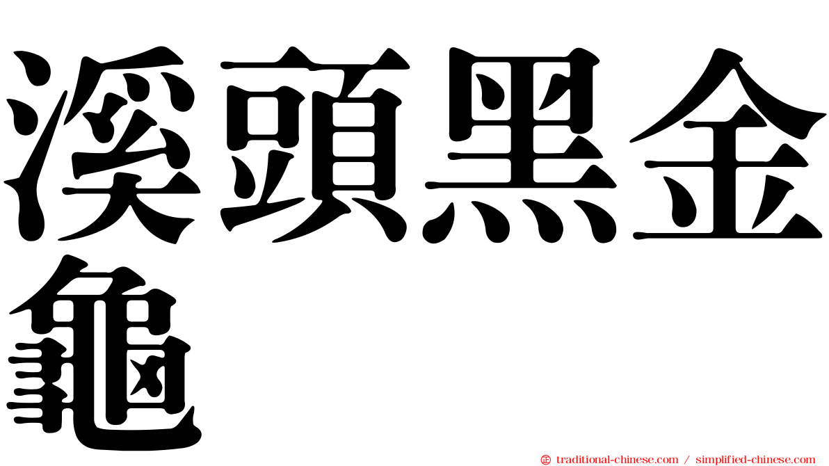 溪頭黑金龜