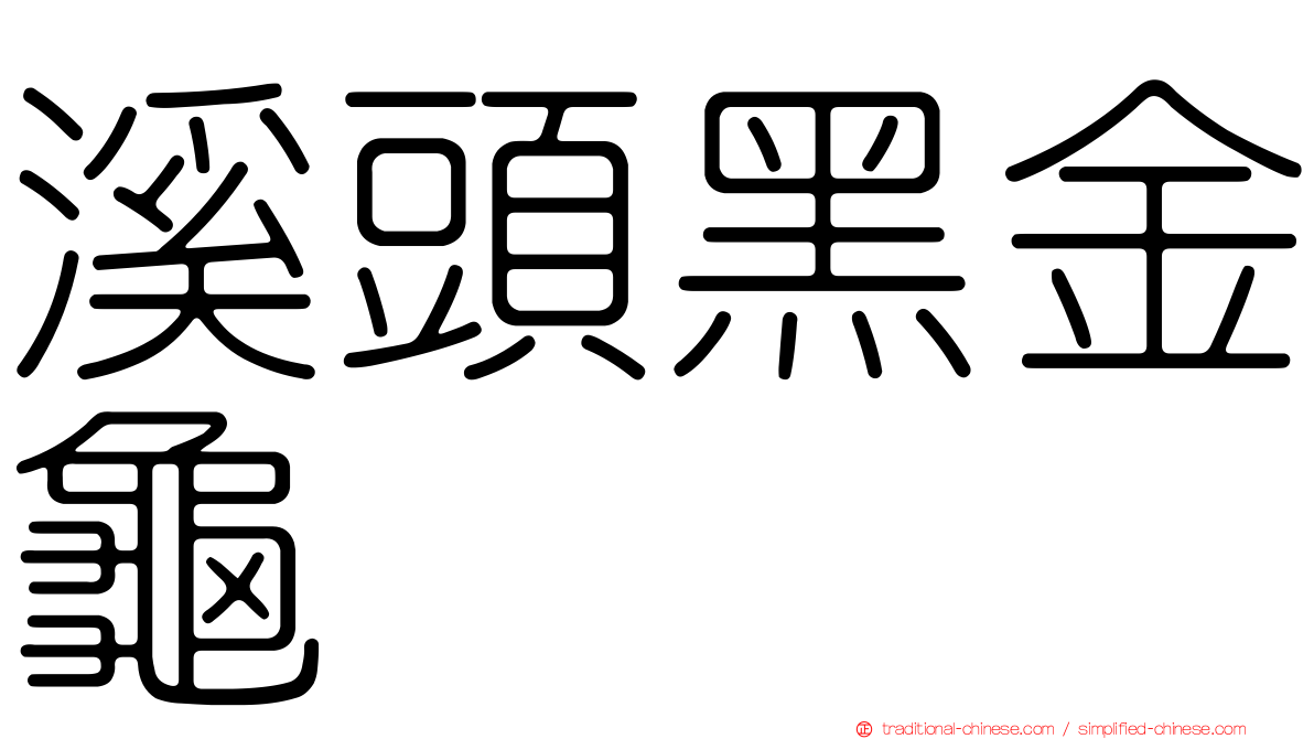 溪頭黑金龜