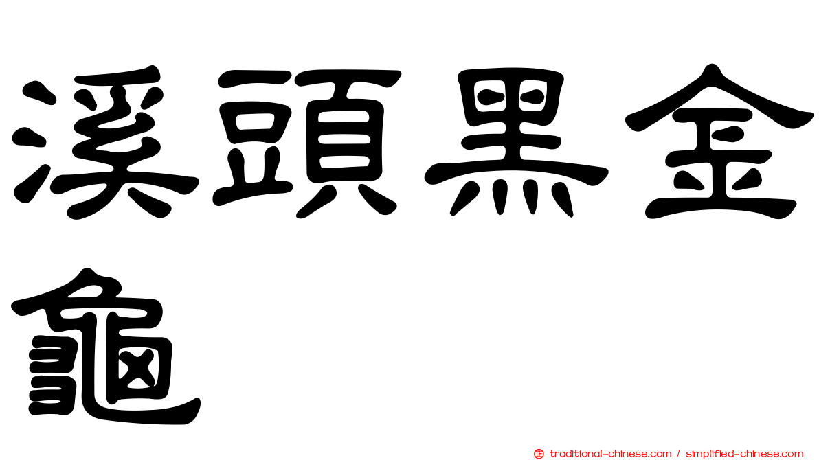 溪頭黑金龜